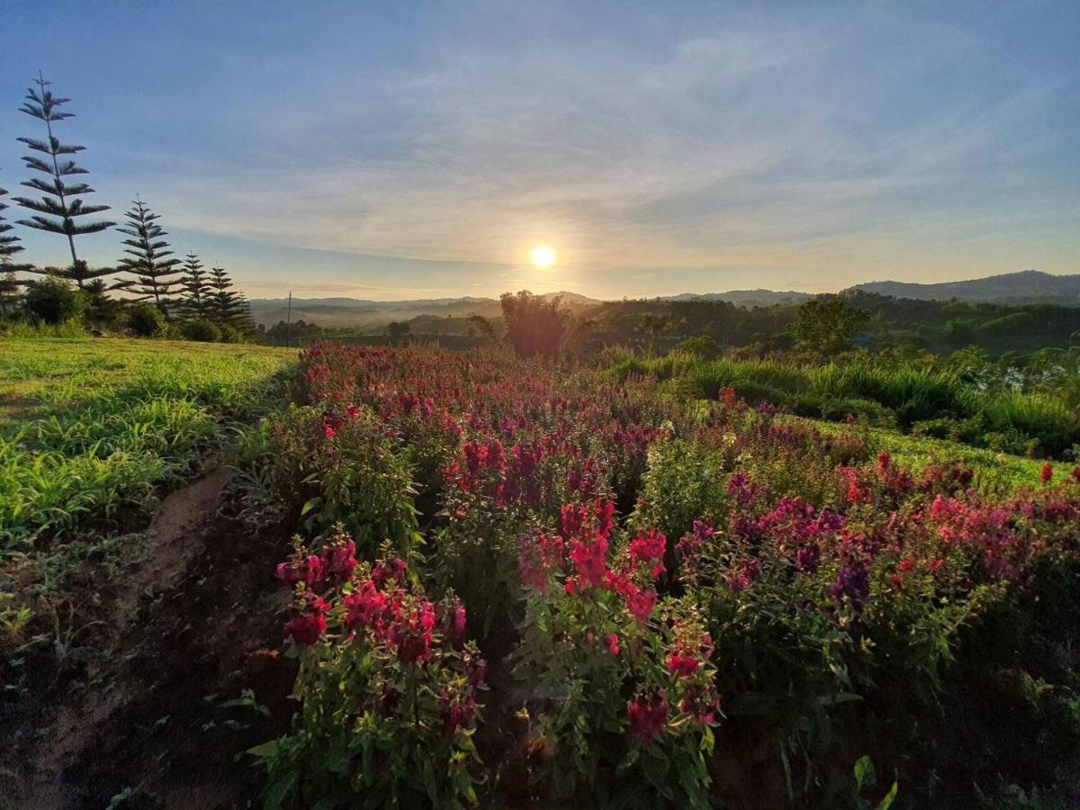 Phuyafahsai The Resort Khao Kho Ngoại thất bức ảnh